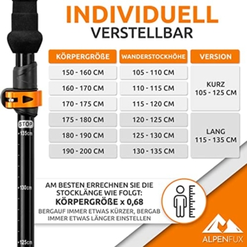 ALPENFUX® Premium Wanderstöcke faltbar, Trekkingstöcke, Nordic Walking Stöcke, leicht und verstellbar mit Klemmverschluss und Korkgriff für Damen und Herren - 4