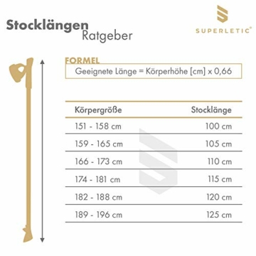 SUPERLETIC Nordic FX 50 Professional Nordic Walking Stöcke 50% Carbon, 100 - 125 cm Länge, für Damen und Herren, ergonomische Korkgriffe, klick-System - 5